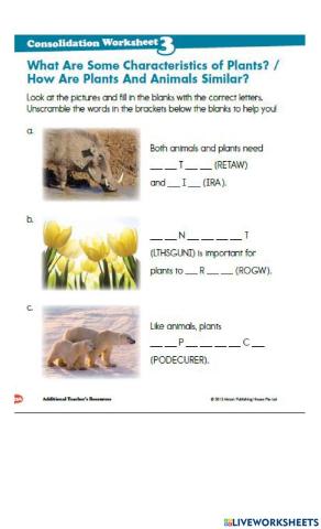 Characteristics of plants-animals