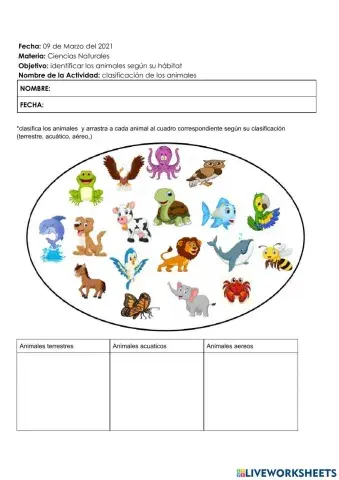 clasificación de animales