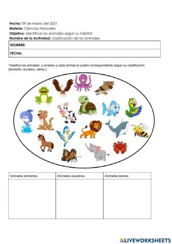 clasificación de animales