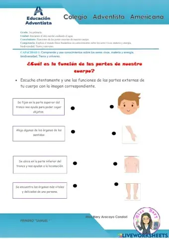 Partes externas de nuestro cuerpo y sus funciones