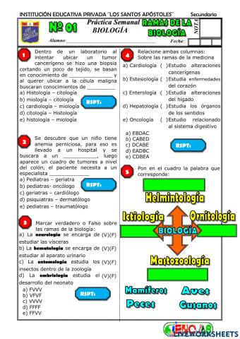 Practica de ramas de la biologia