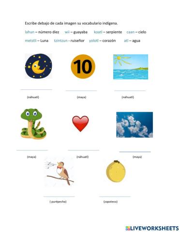 Palabras indígenas d uso común