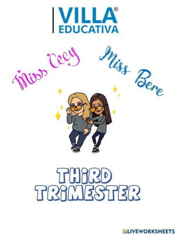 Division 3rd trimester