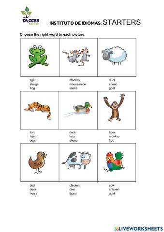 Starters Vocabulary 2