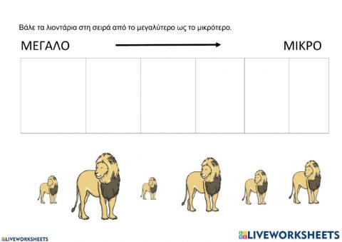 Μεγαλο λιονταρι - μικρο λιονταρι