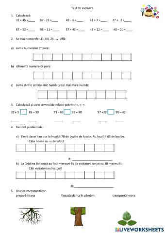 Matematică - evaluare