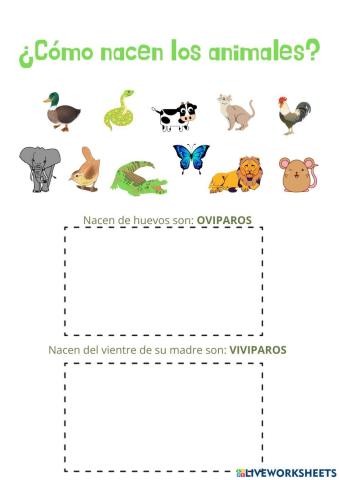 ¿Cómo nacen los animales?