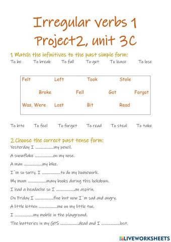 Past Simple of Irregular verbs 1 (Project 2 - Unit 3C)