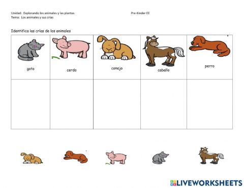 Animales y sus crías