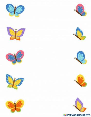 Fluturi - Gaseste perechea!