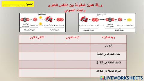 مقارنة بين التنفس الخلوي والبناء الضوئي
