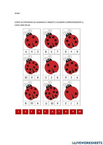 CONTAGEM JOANINHA 08-03