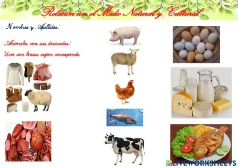 Plantas y sus derivados