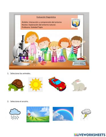 Evaluación Ciencias Medio Mayor