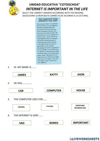 The internet is important