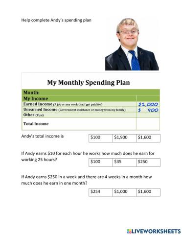 Andy's monthly budget