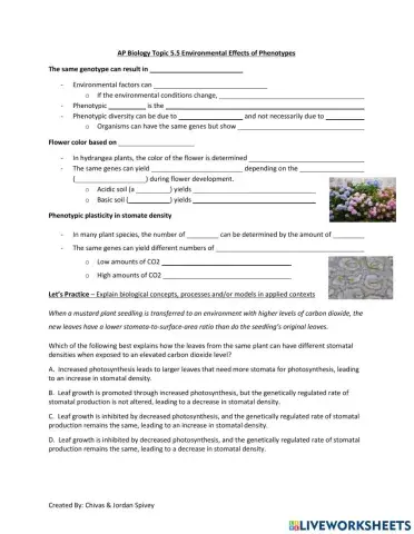 AP Biology Topic 5.5 - Environmental Effects of Phenotypes