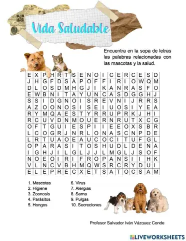 Sopa de Letras de Las Mascotas y la salud