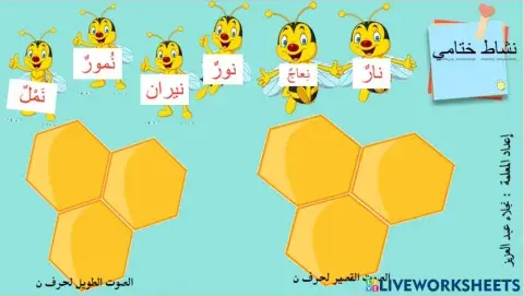 نشاط ختامي ن