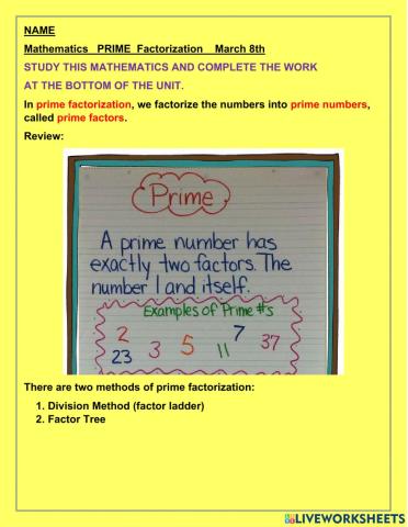 Prime Factorization