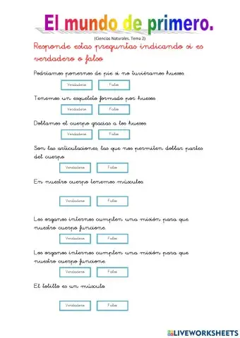 El cuerpo humano (1 primaria)