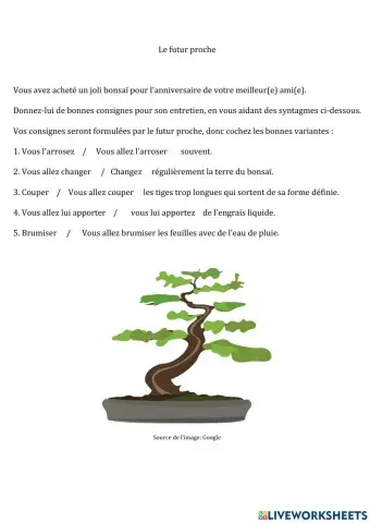 Le futur proche - donner des consignes