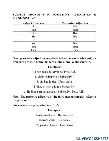 Possessive Adjectives