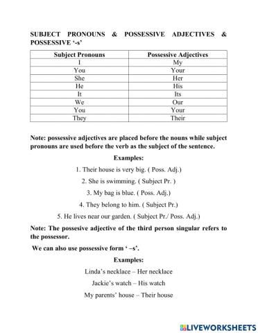 Possessive Adjectives
