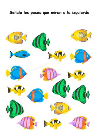 peces izquierda
