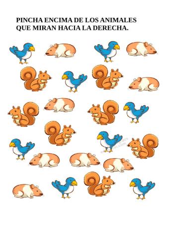 Animales derecha