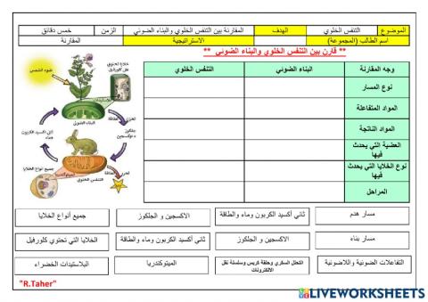 ورقة عمل للمقارنة بين التنفس الخلوي والبناء الضوئي