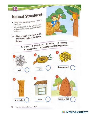 Natural Structures