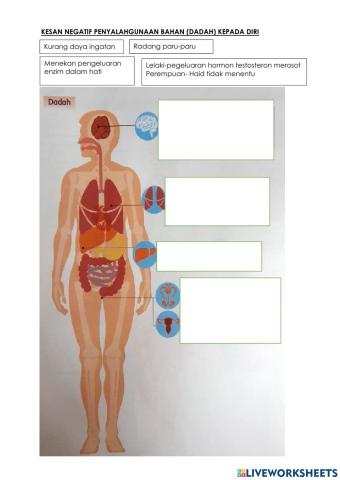 Penyalahgunaan bahan