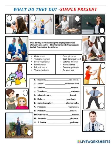 Simple presen and occupations