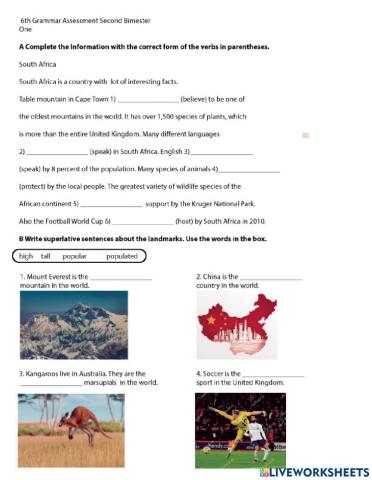 I Have Just Seen The World