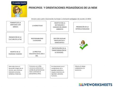 Principios y orientaciones pedagógicas de la nem