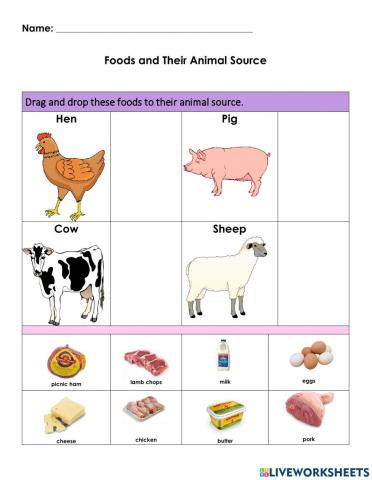 Foods From Farm Animals
