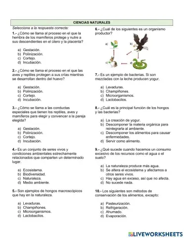 Examen de ciencias naturales 2do trimestre