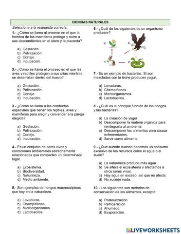 Examen de ciencias naturales 2do trimestre