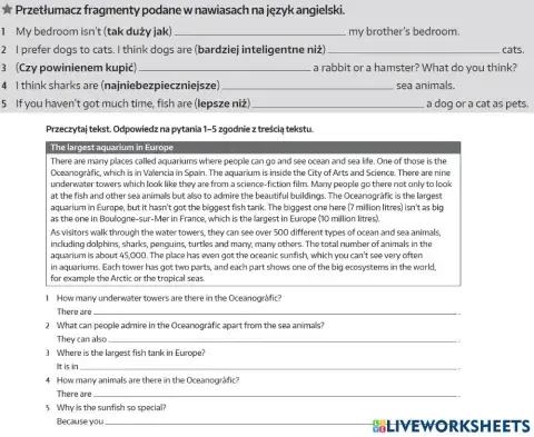 Brainy 6 unit 4 skills