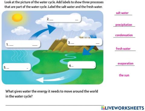 Water Cycle