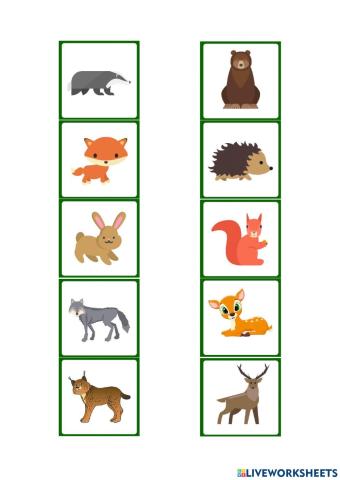 Kirjuta õige looma juurde selle õige nimetus