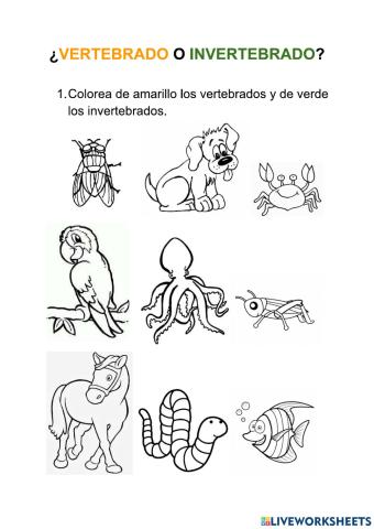 Animales vertebrados e invertebrados