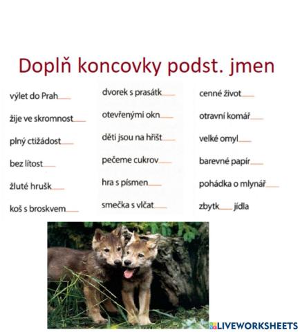 Koncovky podstatných jmen 5