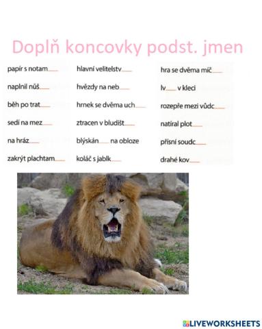 Koncovky podstatných jmen 6