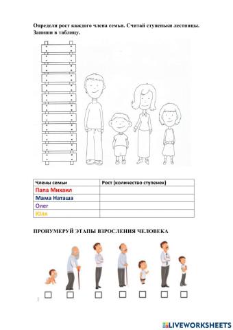 Этапы взросления человека