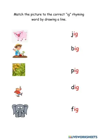 Rhyming Words - Ig Family