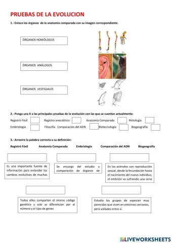 Pruebas de evolución