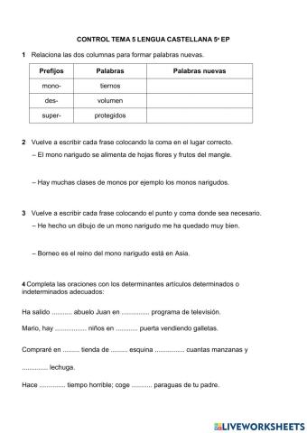 Prueba tema 5 Determinantes y signos de puntuación