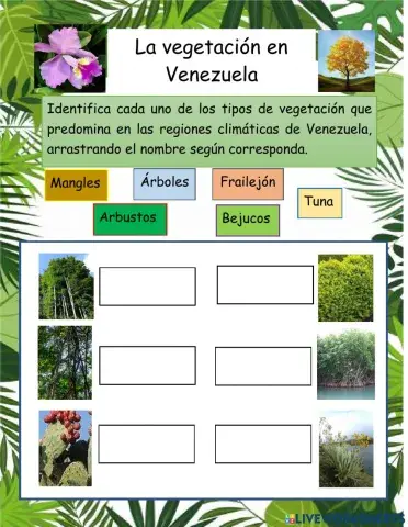 La vegetación en Venezuela.